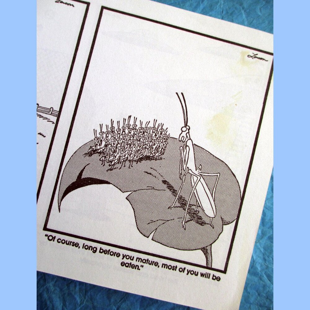 Book: The Far Side Observer (Collection #8), by Gary Larson - Picture 2 of 12